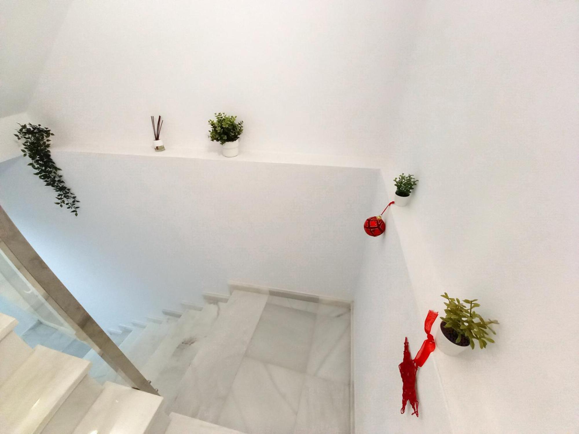Casa Malakita With Private Seaview Roof Terrace Appartement Conil De La Frontera Buitenkant foto